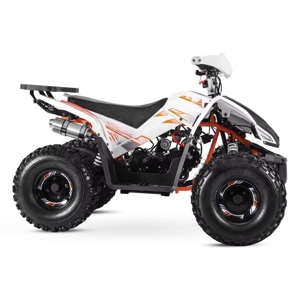 Stlf Tao Motor 2026 New Sport  - Bike Chain 评论和价格